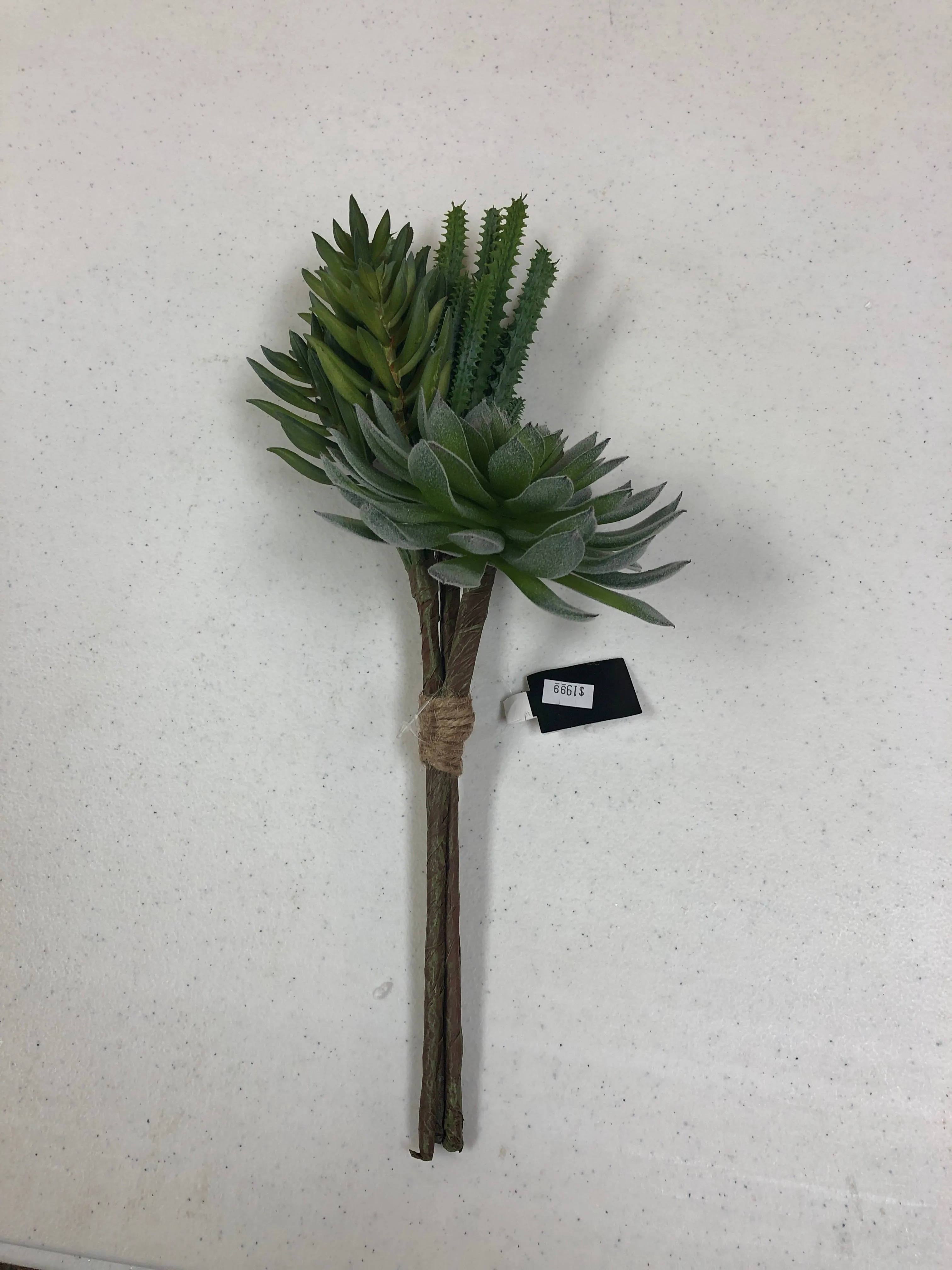 Green Assorted Succulent Pick